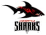 Jacksonville Sharks profile photo