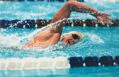 Swimfan profile image