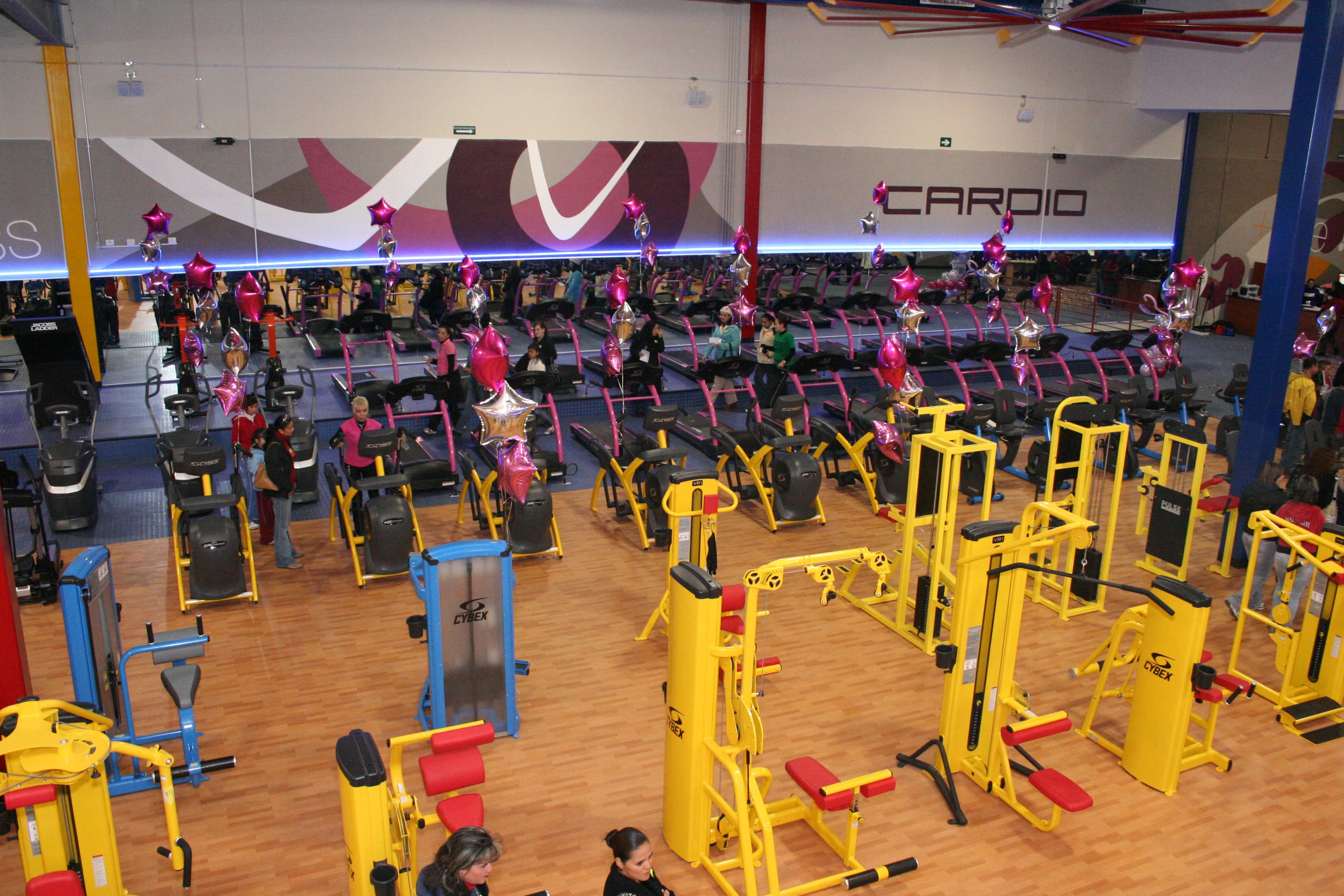 Super Fitness Gym Chain profile image