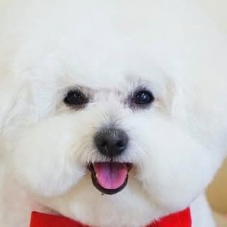Haru profile image