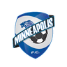FC Minneapolis profile photo