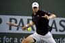John Isner profile photo