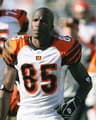 Chad Johnson profile photo