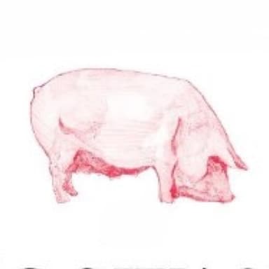 Hogwash Rosé profile image