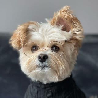 Popeye the Foodie profile image