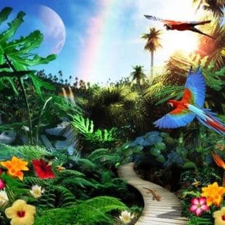 Influencer In The Wild profile image