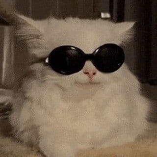 Taryn Lamb profile image