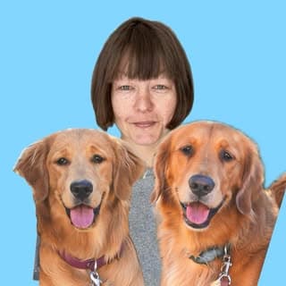 Atlas & Aura + Anu Jalasto | golden retriever life profile image