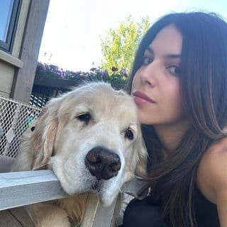 Carolyn Cohen & Wallace the Golden profile image