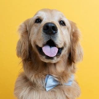 Hudson B. Mason profile image