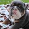 Winnie Paige profile photo