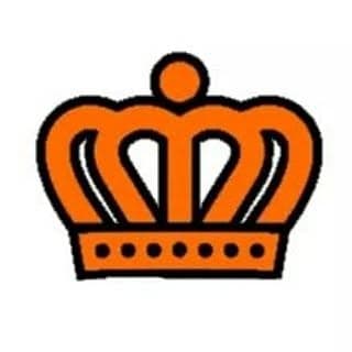Team Kingdom NL profile image