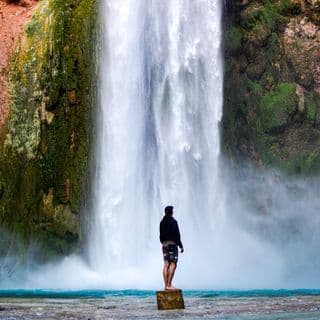 dean michael bell profile image