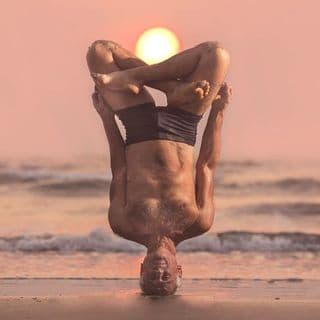 Simon BorgOlivier profile image