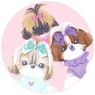 Tinkie, Bardot & Keaton - Tiny Shih Tzus profile image