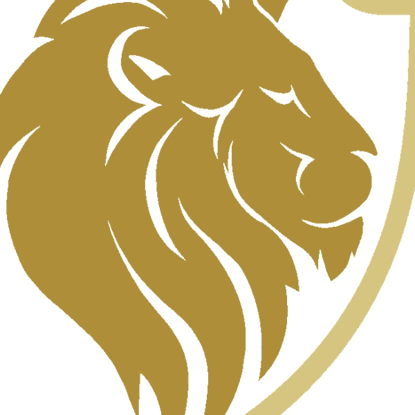 SATSOCCER PRO TRAINING profile image