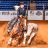 Sarah Wolfs profile photo