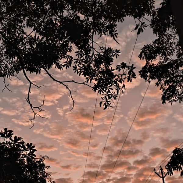 Himanshu Saikia profile image