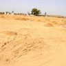 rajasthan sher profile photo