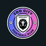 Zoo City FC profile photo