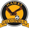 Calcio Express Hawks FC profile photo