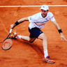 Roberto Bautista Agut profile photo