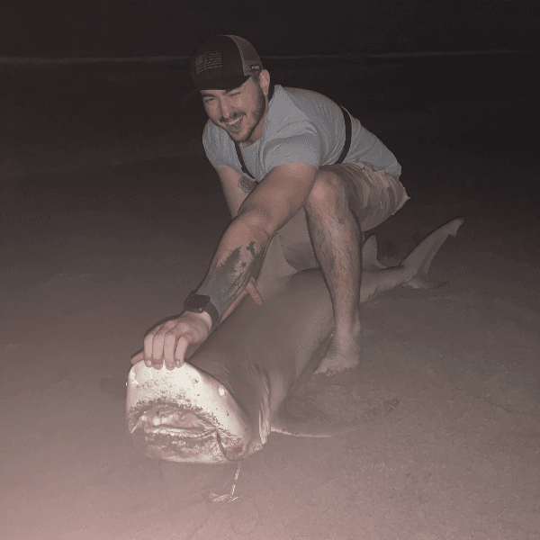 Sean McAna profile image