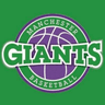 Manchester Giants profile photo