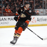 Brendan Guhle profile photo