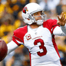 Carson Palmer profile photo