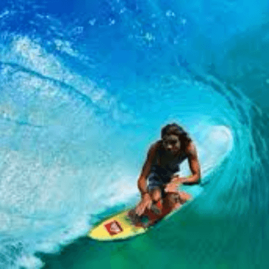 Craig Anderson profile image