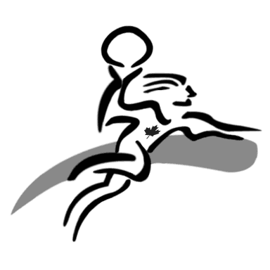 Team Handball Ontario profile image