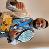 Andre Araujo profile photo
