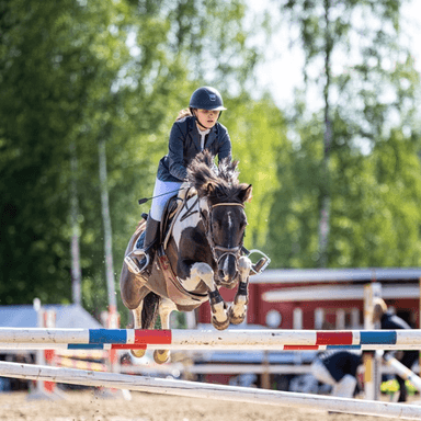 Julia Halonen profile image