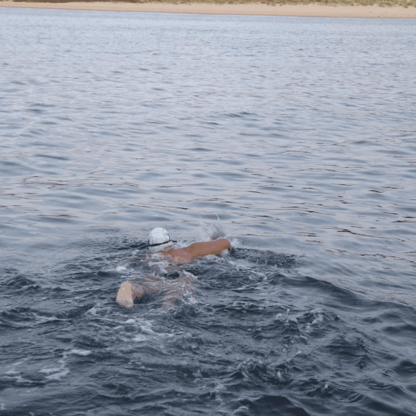 Hazel Killingbeck profile image