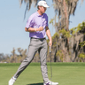 Michael Sanders profile photo
