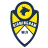 Birmingham WLV Futsal Club profile photo