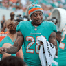 Duke Johnson profile photo