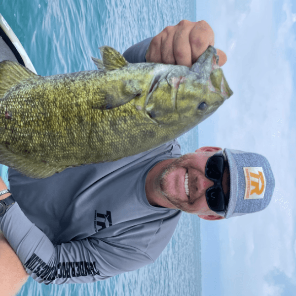 Wade Werner profile image