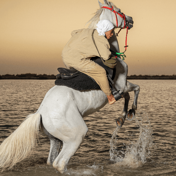 Fatima Alharthi profile image