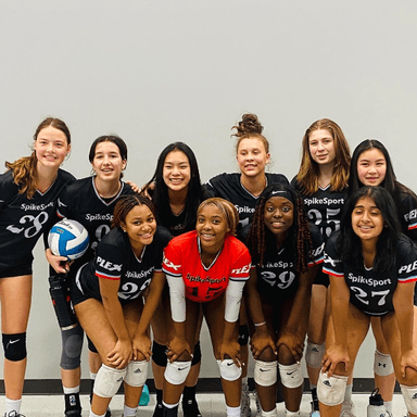 Spike Sport Volleyball profile image