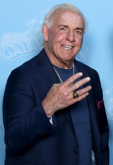 Ric Flair profile image