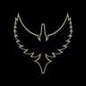 Solent Thrashers profile photo