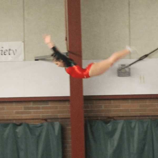 Ally Wyllie profile image