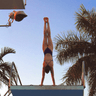 Brianna Tocco profile photo