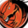 Minnesota Broncos profile photo