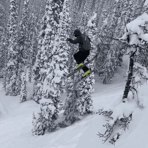 Gallery image 2