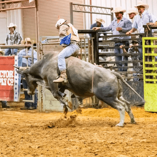 Hunter Hall profile image