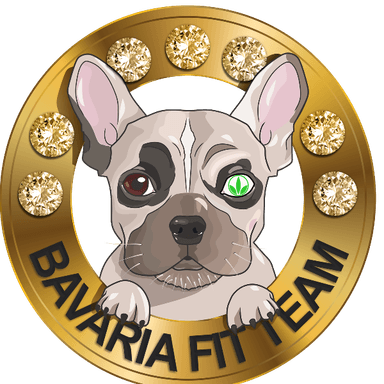 Bavaria Fit Team profile image