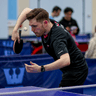 Alex Averin profile photo